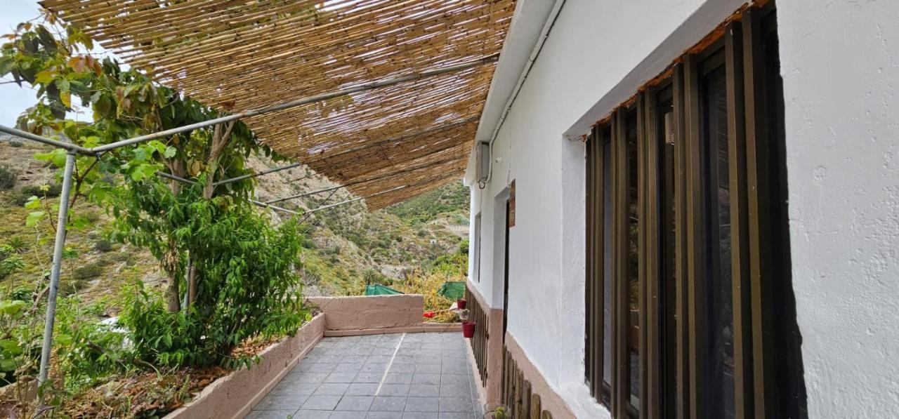 El Cabezo Valle Hermoso Vallehermoso Exterior photo